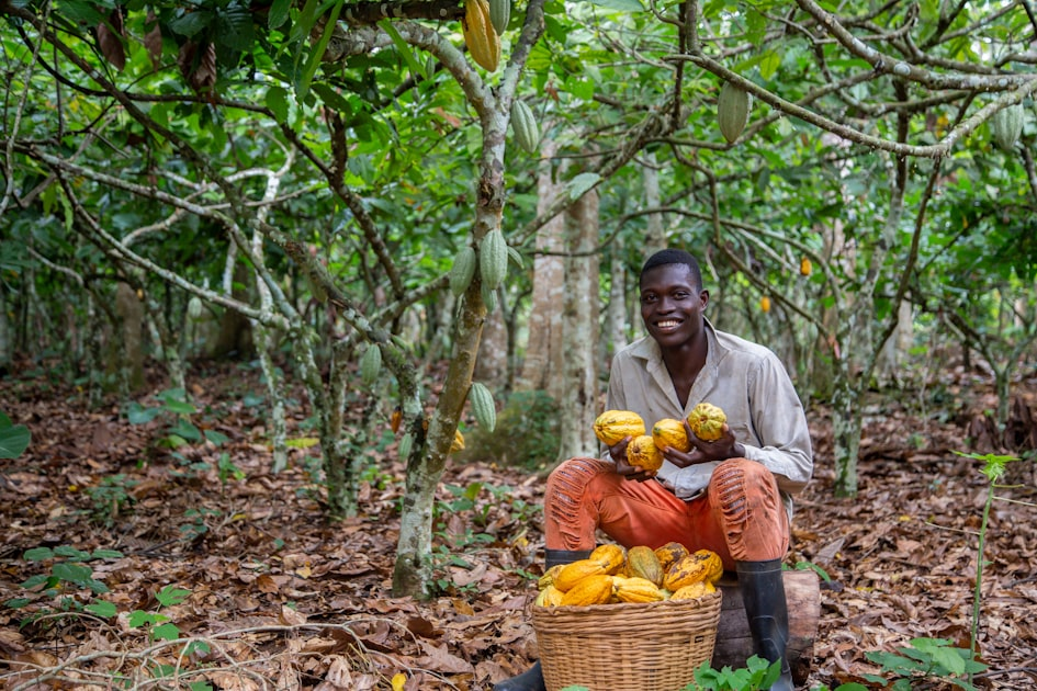 Sustainable Farming Practices at Pacaybal