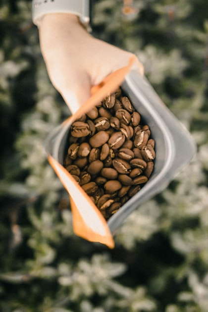 Exporting Quality Produce from Guatemala